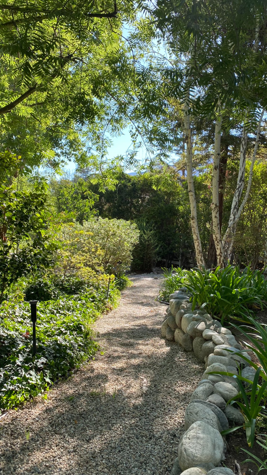 Lush garden pathway by Diversified Design Studio